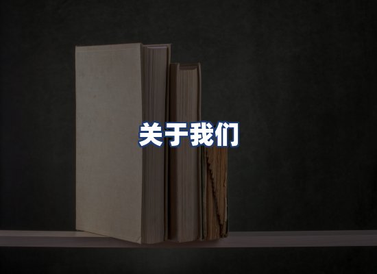 关于我们
